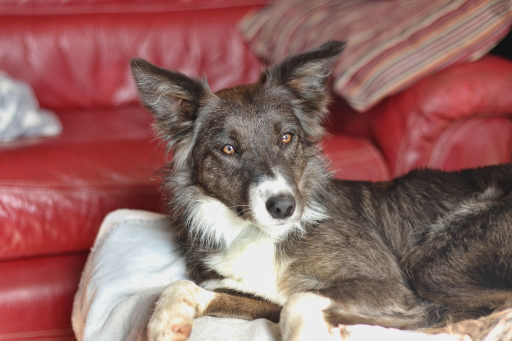 Very much in love kamrya Des Ginkgo Bleus