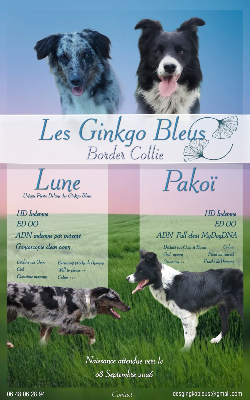 Ils Arrivent !